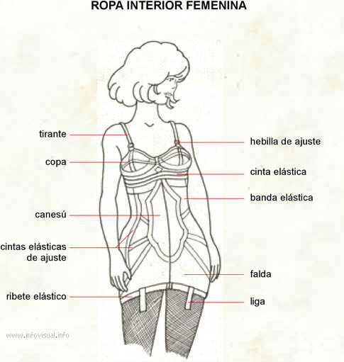 Ropa interior femenina (Diccionario visual)